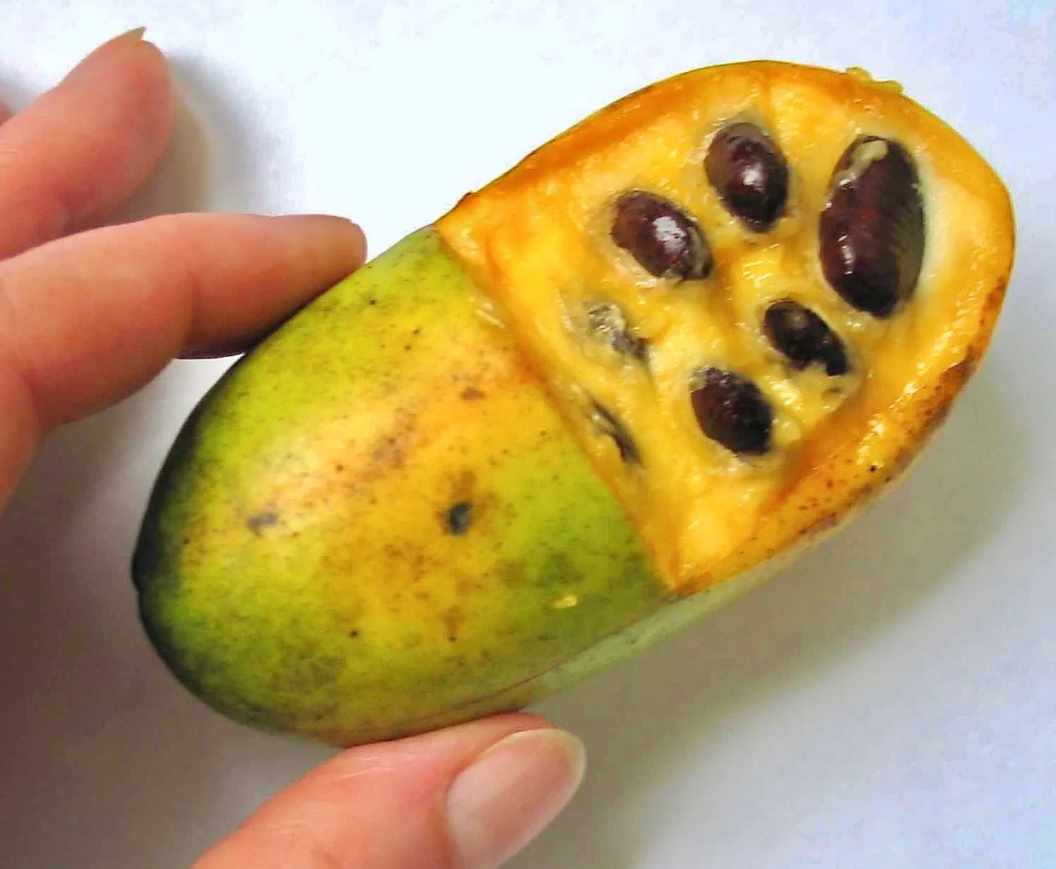 pawpaw