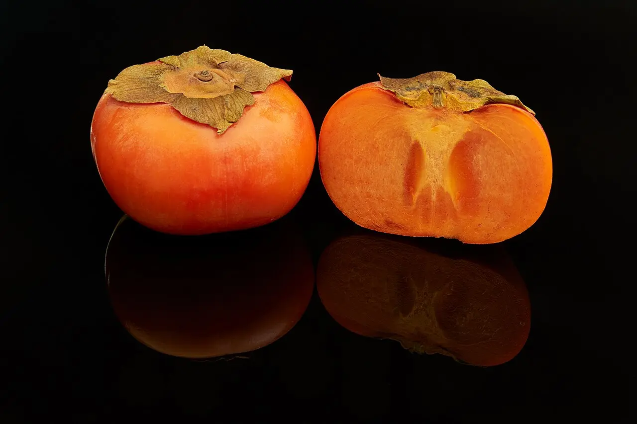 persimmon